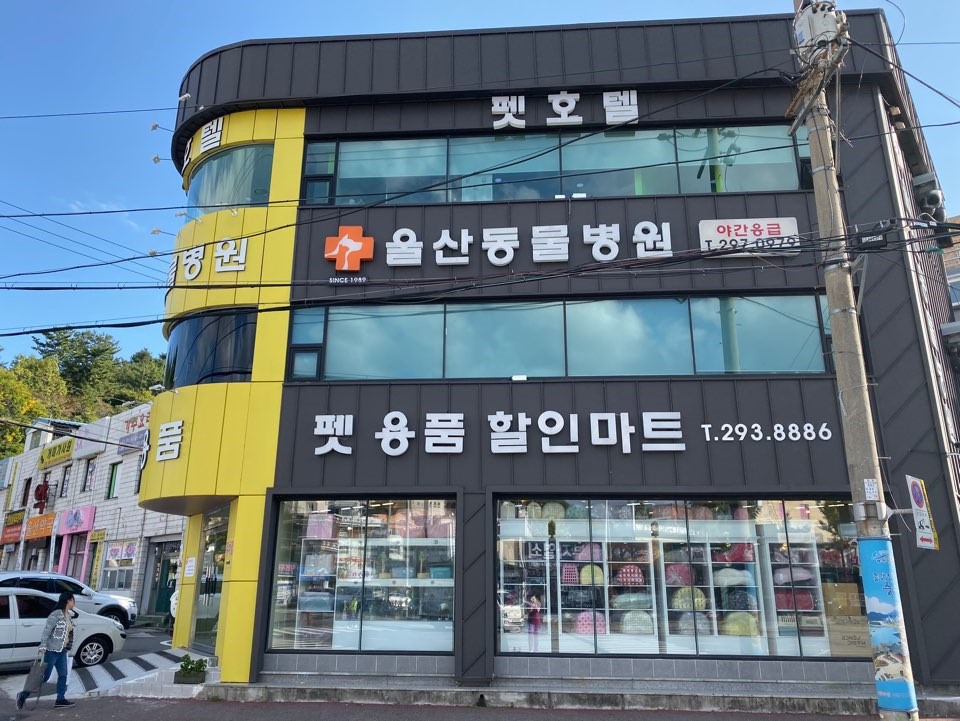 울산동물병원