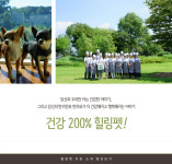 힐링펫