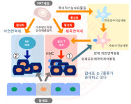 에프티에이치