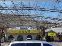 신덕식당
