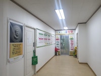 힐스템건강