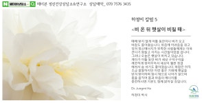 헤이븐정신건강상담소