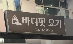 바디핏요가
