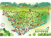 용인자연휴양림