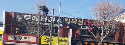 문정웅무에타이짐