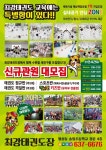 최강태권도