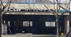 에이스카클리닉