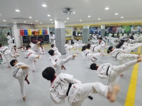 최강태권도