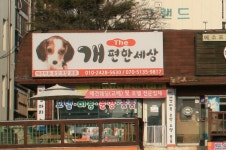 The개편한세상