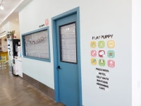 펫돌봄애견카페