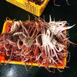 107수산