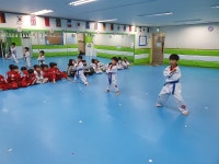 국가대표열정태권도&음악줄넘기