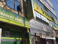 정연합제통외과의원