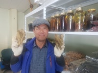 태백더덕마을