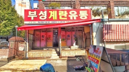 부성계란유통