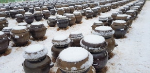 세종발효식품협동조합