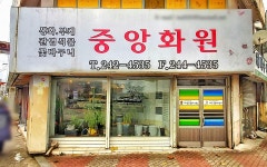 중앙화원