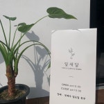잎새달