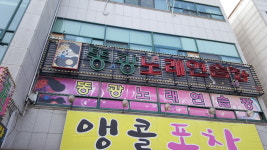 똥광노래연습장