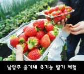 윤기네딸기체험농장
