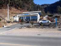 평창산야초