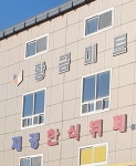 황금미트