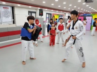 삼성태권도