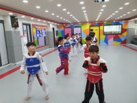 삼성태권도