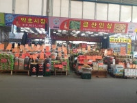 금산인삼약초시장