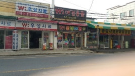 우성애견