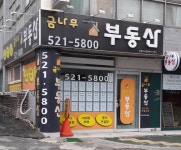 금나무부동산