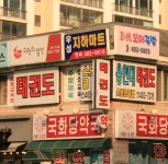용인대태권도스포츠클럽