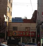 산호동물병원