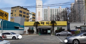 동해복어
