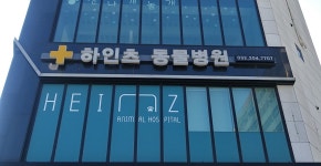 하인츠동물병원