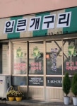 입큰개구리