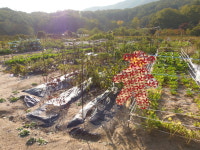 다산농원