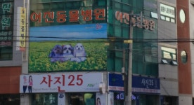 어진동물병원