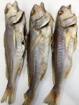 바다식당
