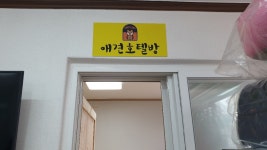 멍이랑옹이랑
