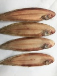 바다식당