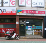 조양지물