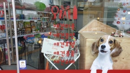 멍이랑옹이랑
