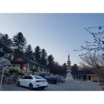 연정사
