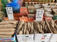 금산인삼약초시장