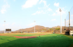 보은군스포츠클럽