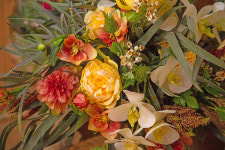 제이 앤 제이 플라워