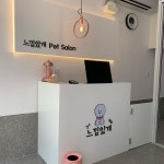 느낌있개
