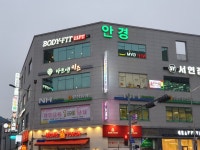 바디핏