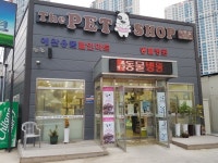 더샵동물병원